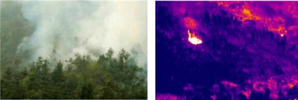 熱成像雙光譜云臺攝像森林防火應用領域 圖片關鍵詞