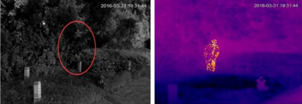 熱成像雙光譜云臺攝像安全防范應用 圖片關鍵詞